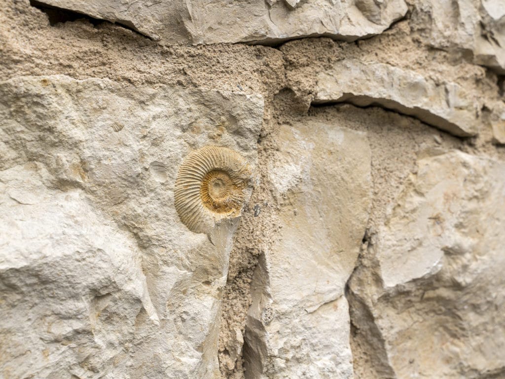 Nahaufnahme einer sandfarbenen Mauer aus Natursteinen mit Fossilien-Einschlüssen